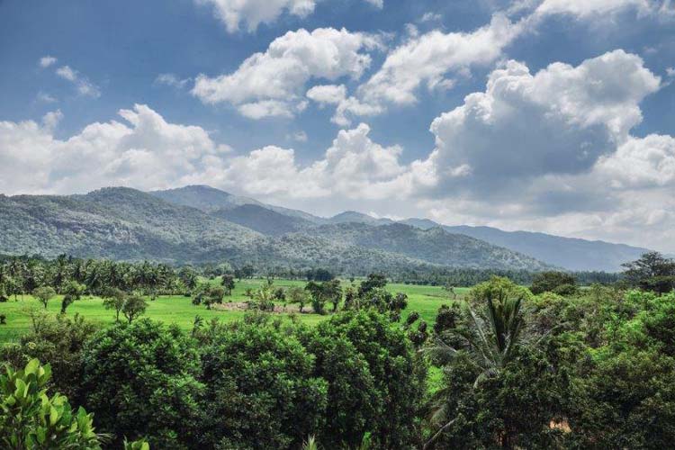 Kalundewa Retreat, a boutique hotel in Dambulla - Page