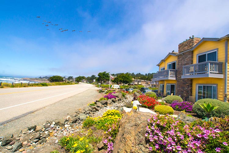 Pelican Inn Suites a boutique hotel in Cambria