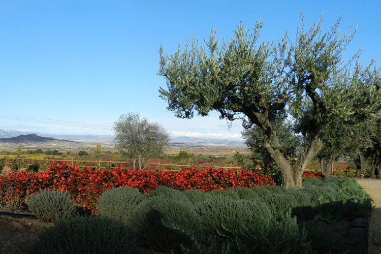 Finca De Los Arandinos A Boutique Hotel In La Rioja Page