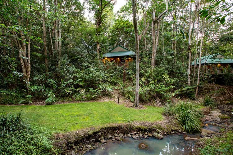 Narrows Escape Rainforest Retreat a boutique hotel in Montville